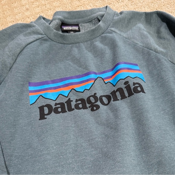 Patagonia Other - Patagonia Kid’s Crew Sweatshirt